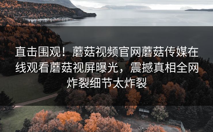 直击围观！蘑菇视频官网蘑菇传媒在线观看蘑菇视屏曝光，震撼真相全网炸裂细节太炸裂